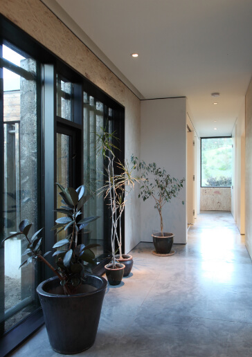 Photo of front entrance of commercial building, with 4 large plants in front of windows.