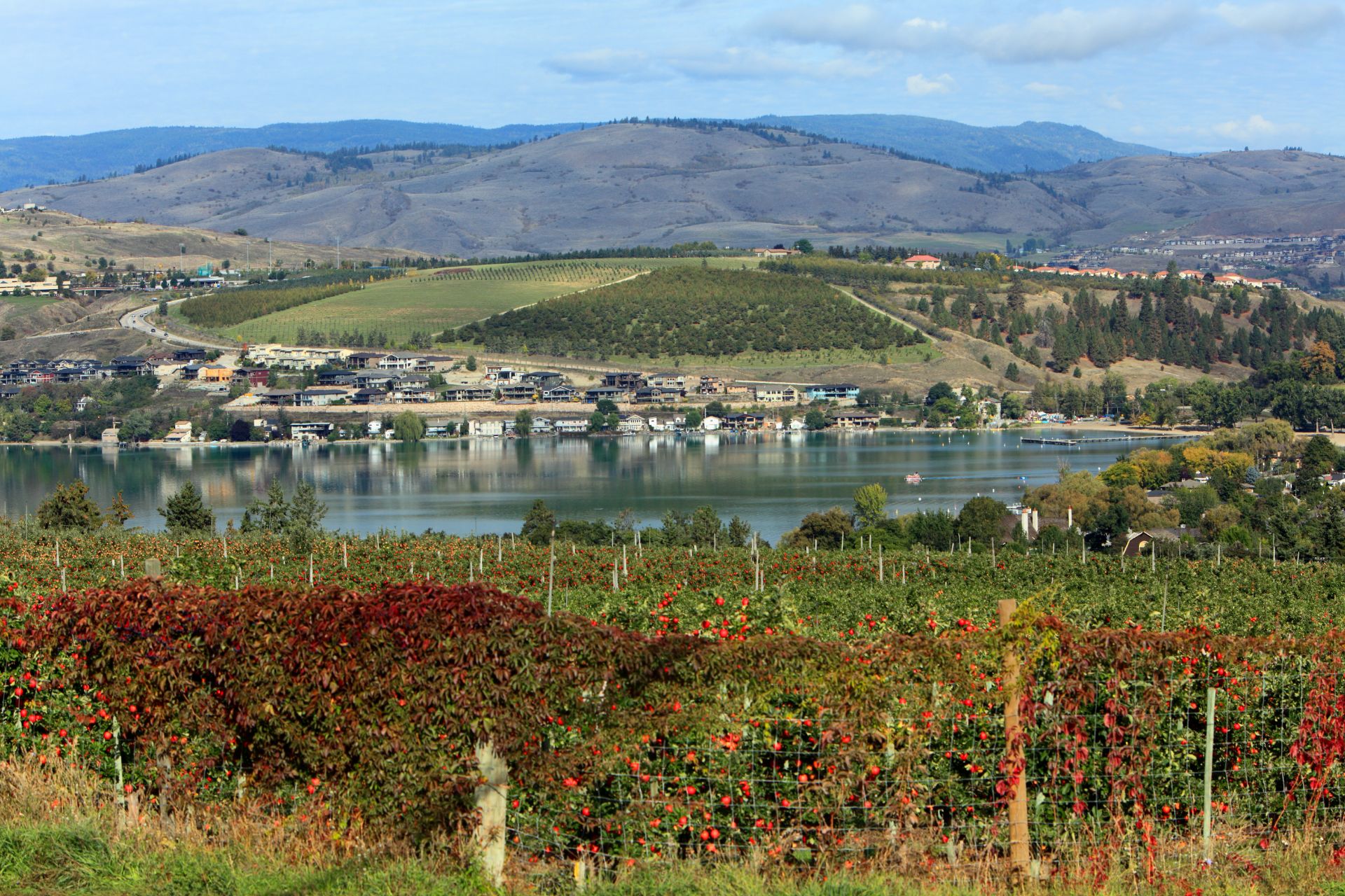 Photo of lakeview and apple orchard in Vernon, BC.